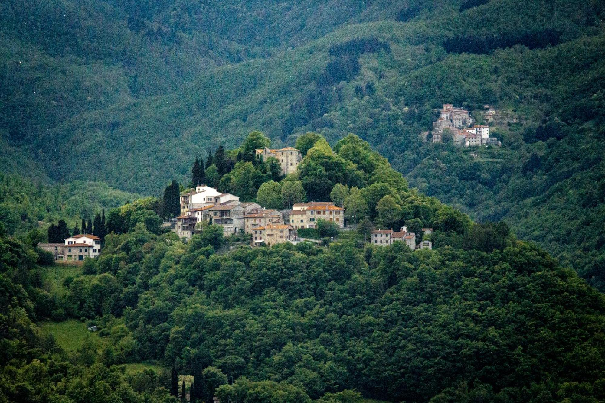Agriturismo Terra Di Michelangelo Caprese Michelangelo Екстериор снимка