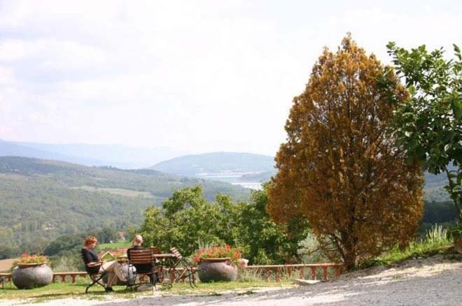 Agriturismo Terra Di Michelangelo Caprese Michelangelo Стая снимка